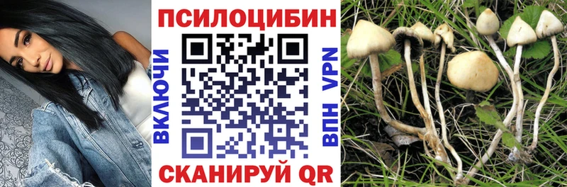 продажа наркотиков  Дедовск  MEGA   Галлюциногенные грибы ЛСД 